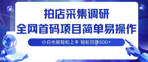 拍店采集调研，全网首码项目，简单易操作， 小白也能轻松上手，多账号操作，轻松日入5张【揭秘】|淘骐网赚资源库