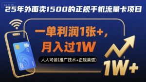 25年外面卖1500的正规手机流量卡项目,一单利润1张+,月入过1W,人人可做(推广技术+正规渠道)【揭秘】|淘骐网赚资源库
