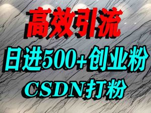 怎么打创业粉?CSDN又一个你不知道的打粉引流神秘平台,单人日引500+精准流量|淘骐网赚资源库