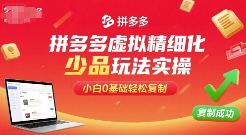 拼多多虚拟精细化少品玩法实操，小白0基础轻松复制|淘骐网赚资源库