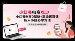 小红书电商0基础+高级运营课,新人小白必学方法,实操教学+案例分析|淘骐网赚资源库