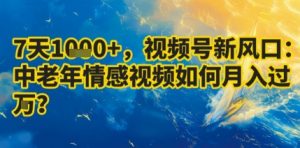 7天收益1k+,视频号新风口:中老年情感视频如何月入过W?|淘骐网赚资源库