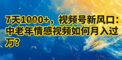 7天收益1k+，视频号新风口：中老年情感视频如何月入过W?|淘骐网赚资源库