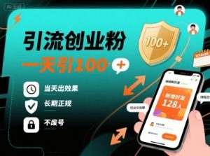 引流创业粉，一天引100+，当天出效果，长期正规，不废号|淘骐网赚资源库