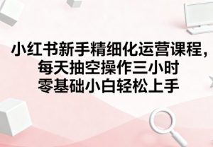 小红书新手精细化运营课程,每天抽空操作三小时,零基础小白轻松上手|淘骐网赚资源库