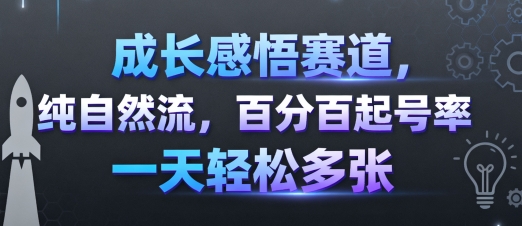 成长感悟赛道,纯自然流,百分百起号率 一天轻松多张|淘骐网赚资源库