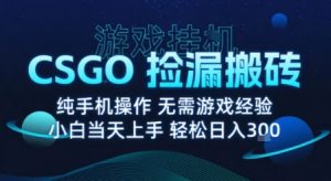 8月最新游戏搬砖,CSGO纯挂G,不需要玩游戏,实现真挂G,月入1W+【揭秘】|淘骐网赚资源库