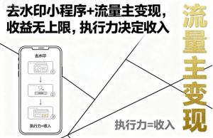 去水印小程序+流量主变现，收益无上限，执行力决定收入|淘骐网赚资源库