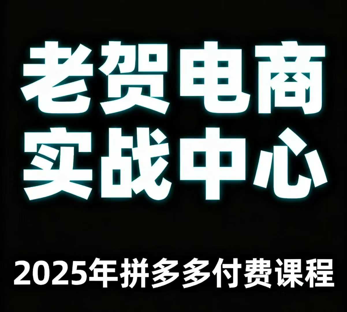 老贺电商2025年拼多多付费课程，用通俗易懂的方法告诉你多多怎么玩|淘骐网赚资源库
