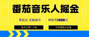 番茄音乐人掘金，单账号最高可撸1k+，可无限矩阵去做，零投入|淘骐网赚资源库