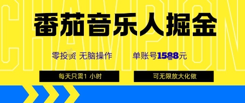 番茄音乐人掘金,单账号最高可撸1k+,可无限矩阵去做,零投入|淘骐网赚资源库