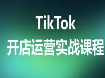 TikTok开店运营实战课程,TK跨境电商实操全流程|淘骐网赚资源库