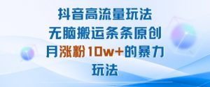 抖音高流量玩法：无脑搬运条条原创，月涨粉10w+的暴力玩法|淘骐网赚资源库