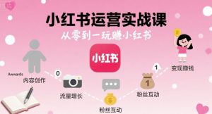 小红书运营实战课,从零到一玩賺小红书|淘骐网赚资源库