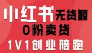小红书无货源0粉电商课,开店准备、选品策略、笔记撰写、视频剪辑、数据分析、账号打造、资料文档|淘骐网赚资源库