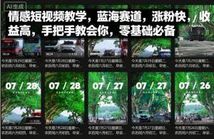 情感短视频教学，蓝海赛道，涨粉快，收益高，手把手教会你，零基础必备|淘骐网赚资源库