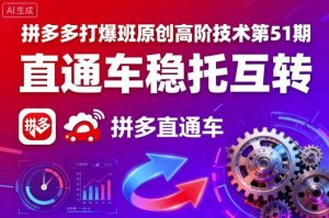 拼多多打爆班原创高阶技术第51期,直通车稳托互转|淘骐网赚资源库