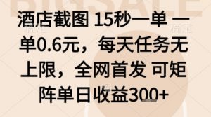 酒店截图项目,15秒一单,一单0.6米,每天任务无上限,全网首发可矩阵单日收益3张+【揭秘】|淘骐网赚资源库
