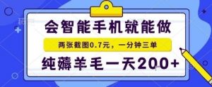 手机项目,二十秒一单,纯薅羊毛一天2张+做就有【揭秘】|淘骐网赚资源库