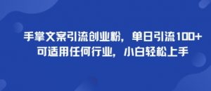 手掌文案引流创业粉,单日引流100+,可适用任何行业,小白轻松上手|淘骐网赚资源库