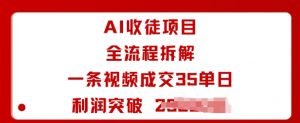AI收徒项目全流程拆解一条视频成交35单日利润突破1k+|淘骐网赚资源库