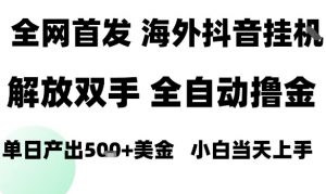 海外抖音无人直播,单日产出1.5k+,长期稳定,新手可玩,无脑操作【揭秘】|淘骐网赚资源库