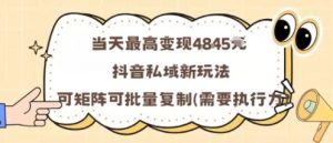 当天最高变现1k+,抖音私域新玩法,可矩阵可批量复制|淘骐网赚资源库