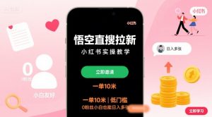 悟空直搜拉新小红书实操教学，一单10米，低门槛，0粉丝小白也能日入多张|淘骐网赚资源库