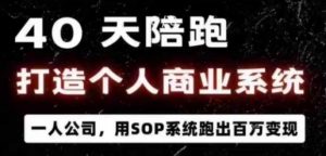 40天陪跑打造个人商业系统,一人公司,用SOP系统跑出百W变现|淘骐网赚资源库