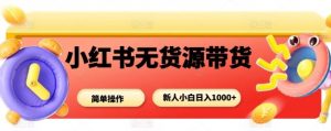 小红书无货源带货项目,简单无脑,新人小白日入多张|淘骐网赚资源库