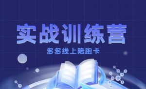 多多实战训练营,从0到1打造一个真正賺钱的店铺|淘骐网赚资源库