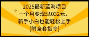 2025最新蓝海项目一个月变现1w+新手小白也能轻松上手【附全套指令】|淘骐网赚资源库