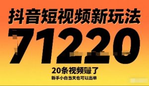 抖音短视频新玩法，20条视频挣了1w+，新手小白当天也可以出单|淘骐网赚资源库