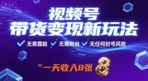 视频号带货变现新玩法,无需露脸,无需粉丝,无任何封号风险,一天收益8张【揭秘】|淘骐网赚资源库