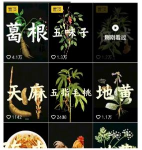 抖音中草药赛道,用AI做中草药故事视频,45条作品涨粉13W,橱窗带货猛猛出单|淘骐网赚资源库