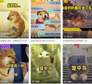 狗头幸运星UE5动画全套课程，从入门到实操全掌握|淘骐网赚资源库