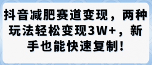 抖音减肥赛道变现,两种玩法轻松变现3W+,新手也能快速复制|淘骐网赚资源库