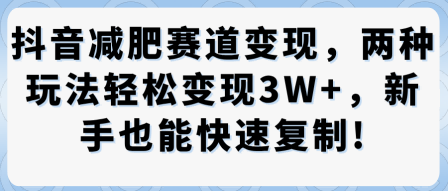 抖音减肥赛道变现,两种玩法轻松变现3W+,新手也能快速复制|淘骐网赚资源库