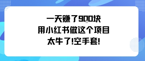 一天挣了9张用小红书做这个项目太牛了，空手套|淘骐网赚资源库