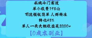 私域冷门赛道:单个收费198米引流模板简单人群精准转化45%单人一天大概收益是1k+|淘骐网赚资源库
