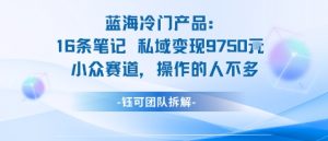 蓝海项目：16条笔记私域变现9750米小众赛道操作的人不多|淘骐网赚资源库