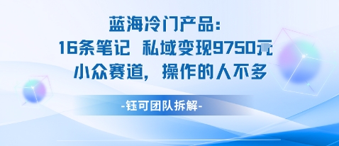 蓝海项目：16条笔记私域变现9750米小众赛道操作的人不多|淘骐网赚资源库