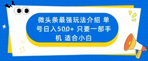 微头条最强玩法介绍一个号日入5张+只要一部手机适合小白|淘骐网赚资源库
