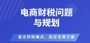电商企业财税风险与规避，直击财税痛点，制定专属方案|淘骐网赚资源库