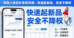 淘宝小类目补单系列课,快速起新品,安全不降权|淘骐网赚资源库