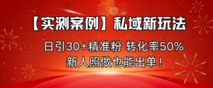 【实测案例】私域新玩法，日引30+精准粉，转化率50%，新人照做也能出单！|淘骐网赚资源库