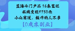 蓝海冷门产品：16条笔记私域变现9750米小众赛道，操作的人不多|淘骐网赚资源库