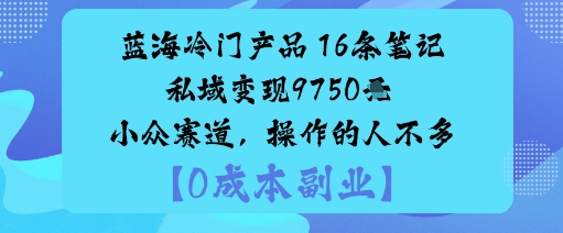蓝海冷门产品：16条笔记私域变现9750米小众赛道，操作的人不多|淘骐网赚资源库