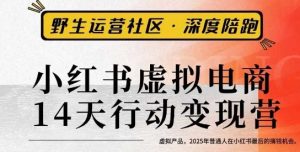 小红书虚拟电商14天变现训练营3.0,虚拟产品,2025年普通人在小红书最后的搞钱机会|淘骐网赚资源库