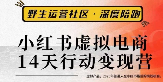 小红书虚拟电商14天变现训练营3.0,虚拟产品,2025年普通人在小红书最后的搞钱机会|淘骐网赚资源库